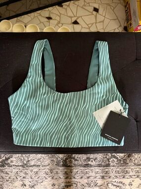 Spiritual Gangster Sculpted Stripe Scoop-Neck Sports Bra in Teal